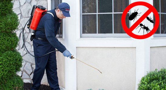 Baklan Dezenfeksiyon böcek ilaçlama ve haşere kontrolü — ilaclama-tr.com